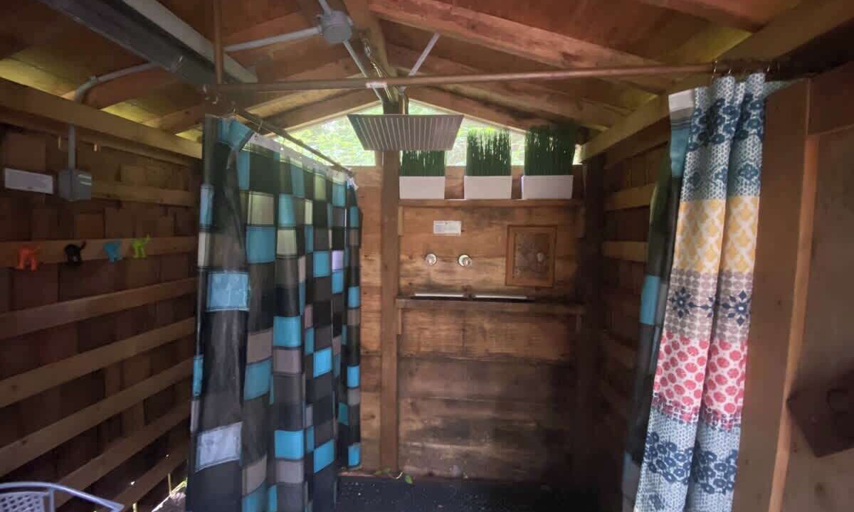 Photo of Others in Forks