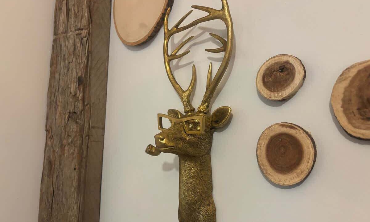 Photo of Others in Forks