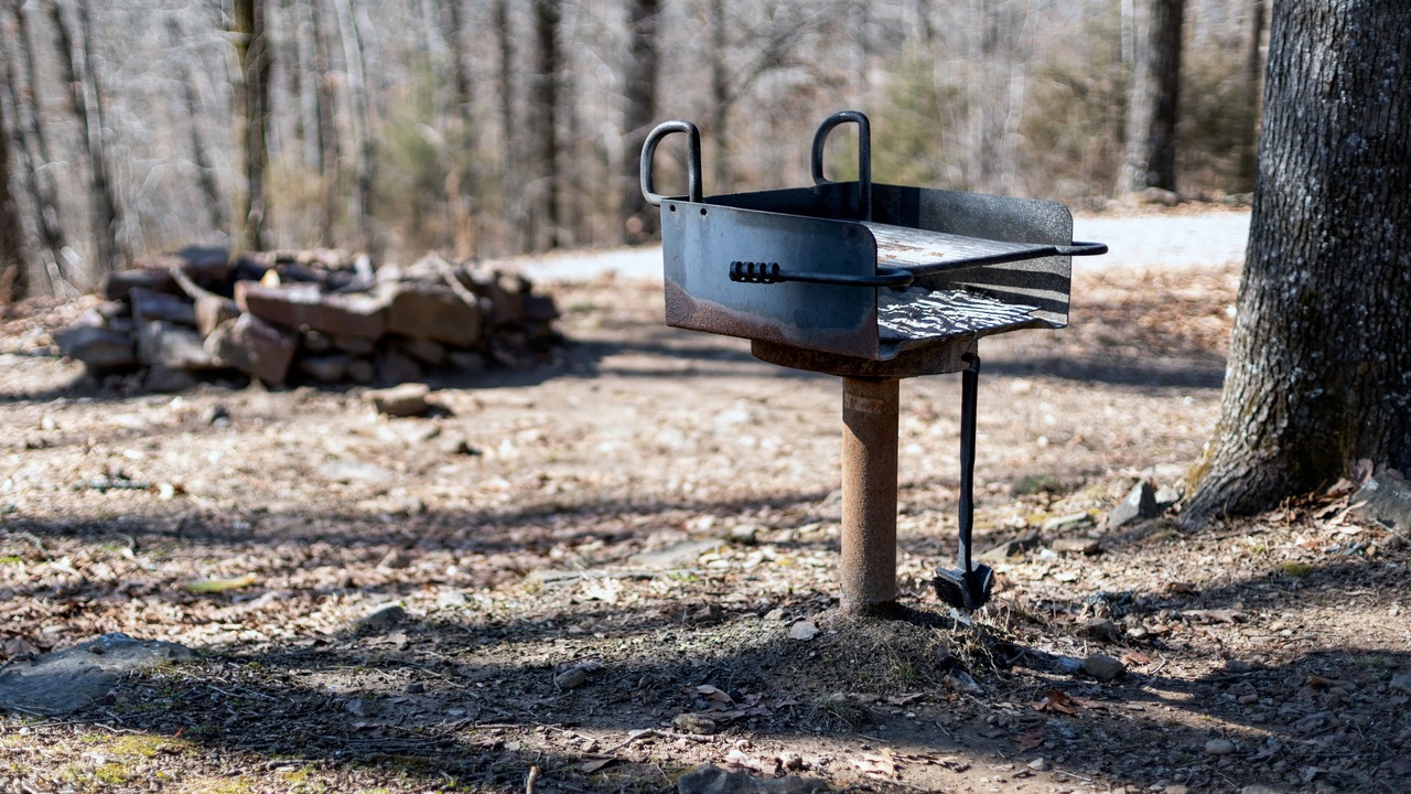 Photo of Outdoor in Mountainburg