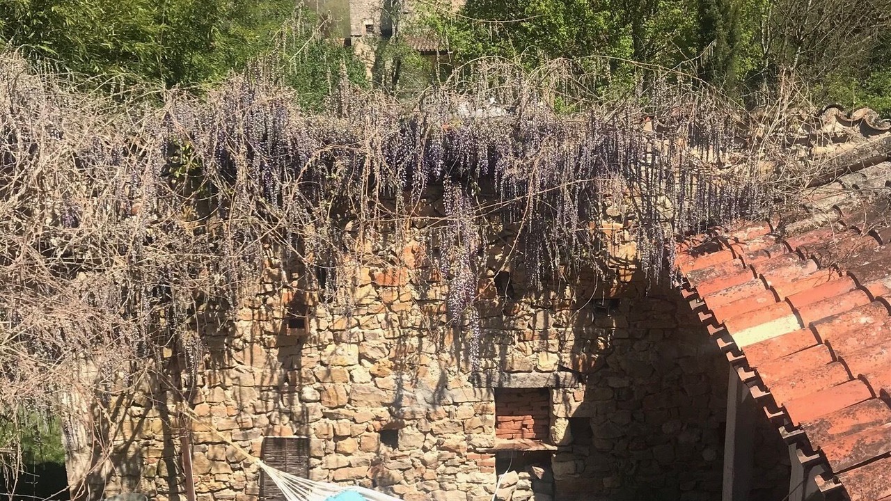 Photo of Outdoor in Vindrac-Alayrac