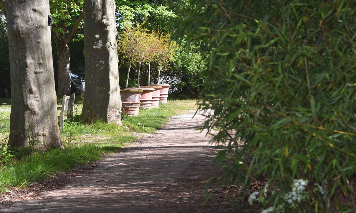 Photo of Outdoor in La Pomarede