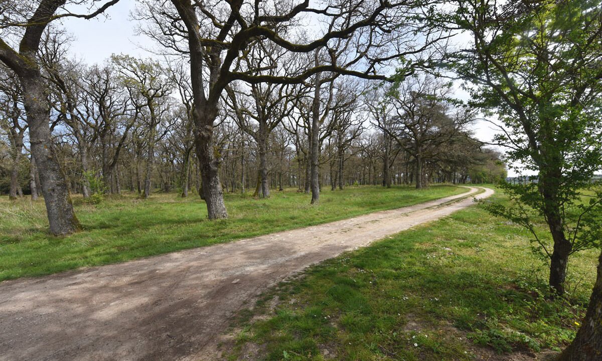 Photo of Outdoor in La Pomarede