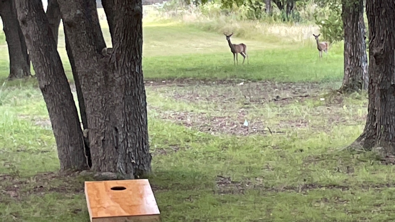 Photo of Others in Kerrville
