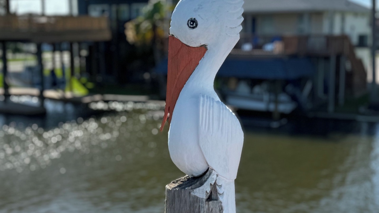 Photo of Others in Galveston