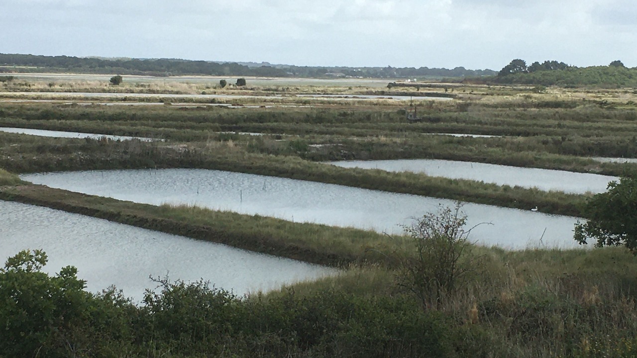 Photo of Others in Mesquer