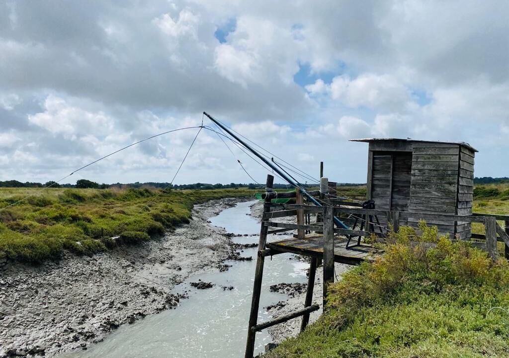 Photo of Others in Mesquer