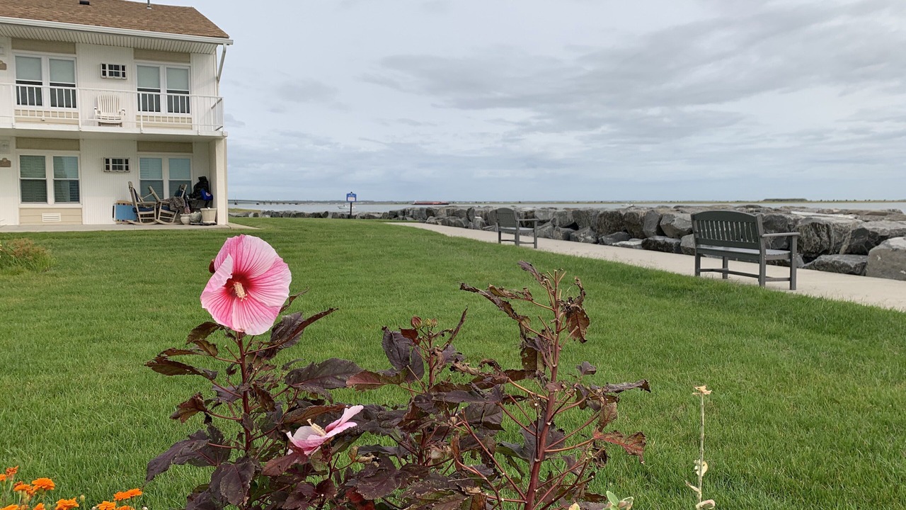Photo of Outdoor in Anglesea