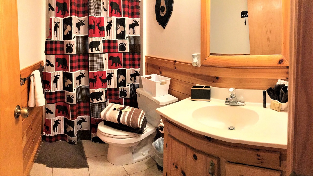 Photo of Bathroom in Piney Creek