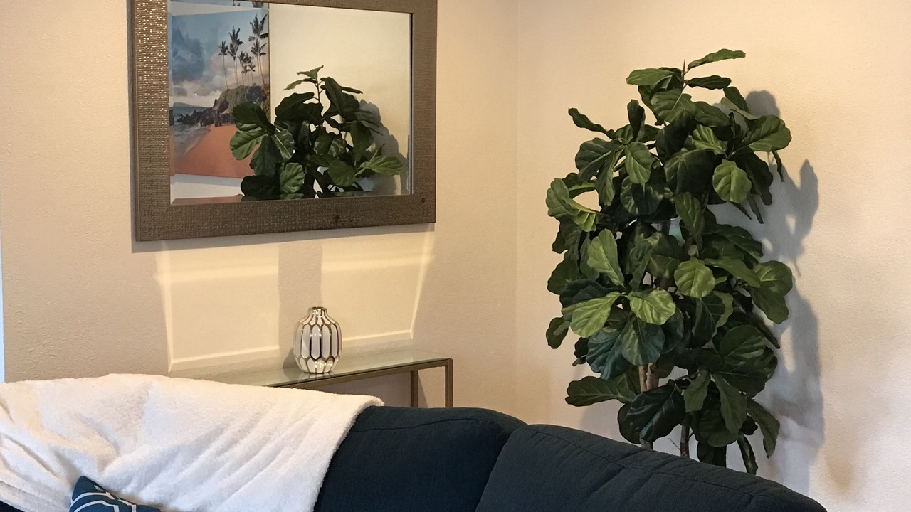 Photo of Others in Martinez