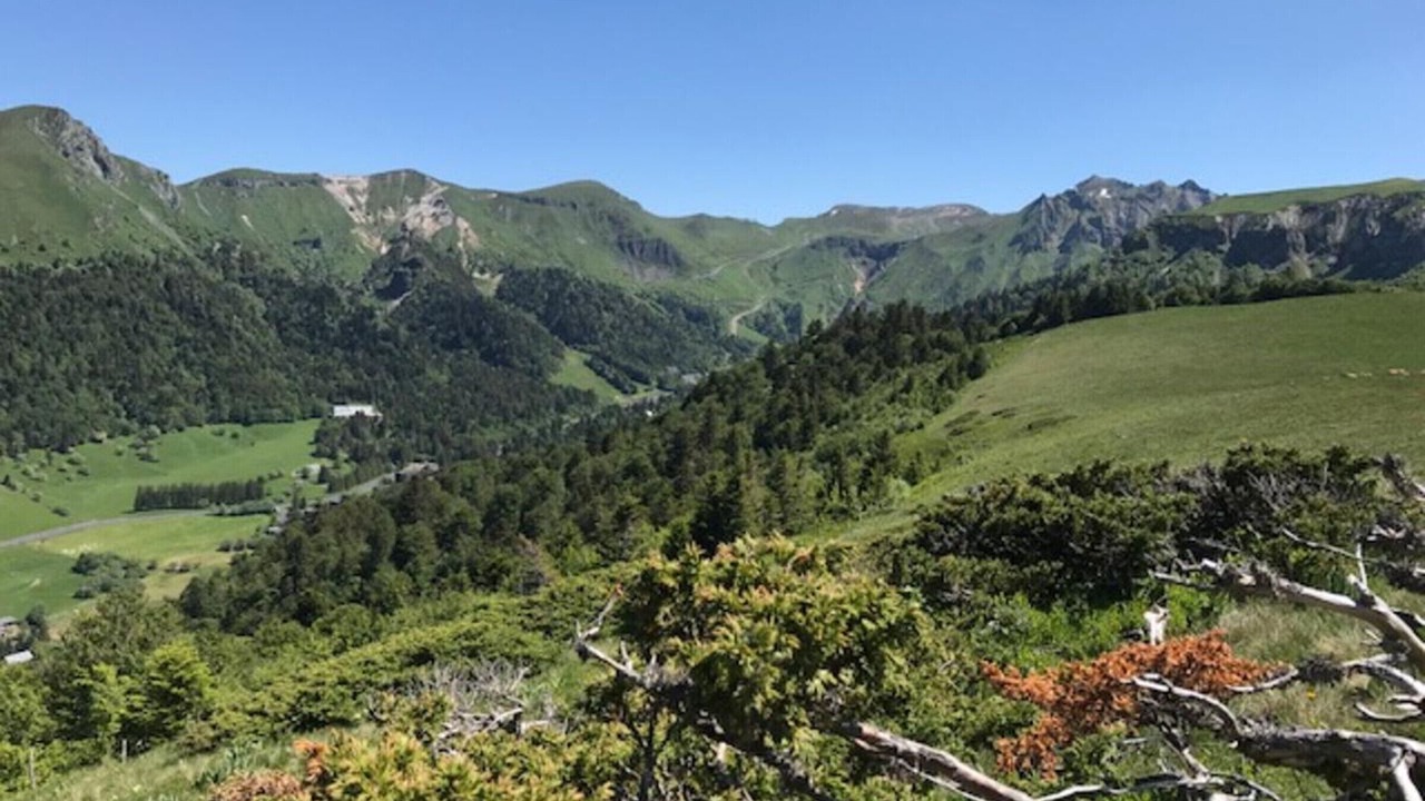 Photo of Outdoor in Mont-Dore