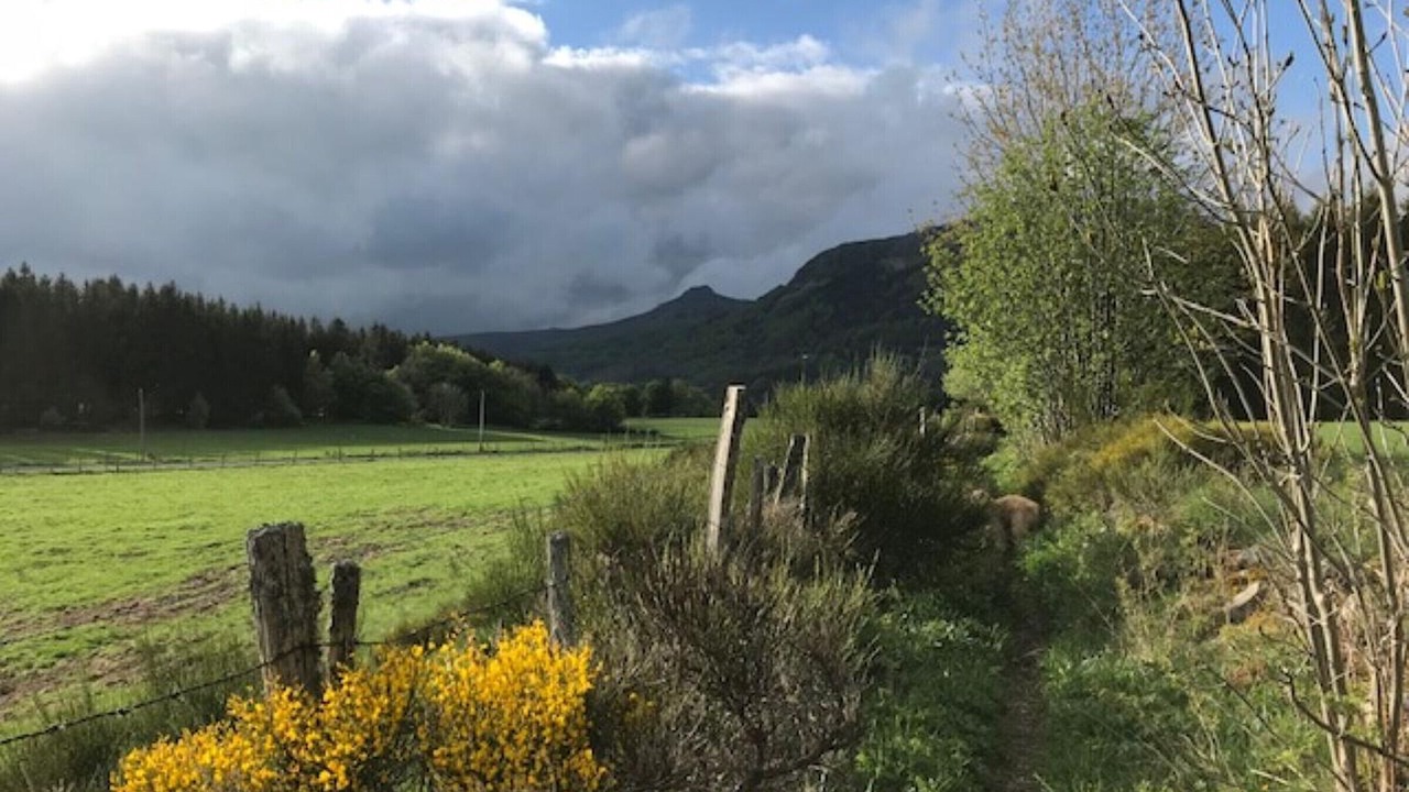 Photo of Others in Mont-Dore