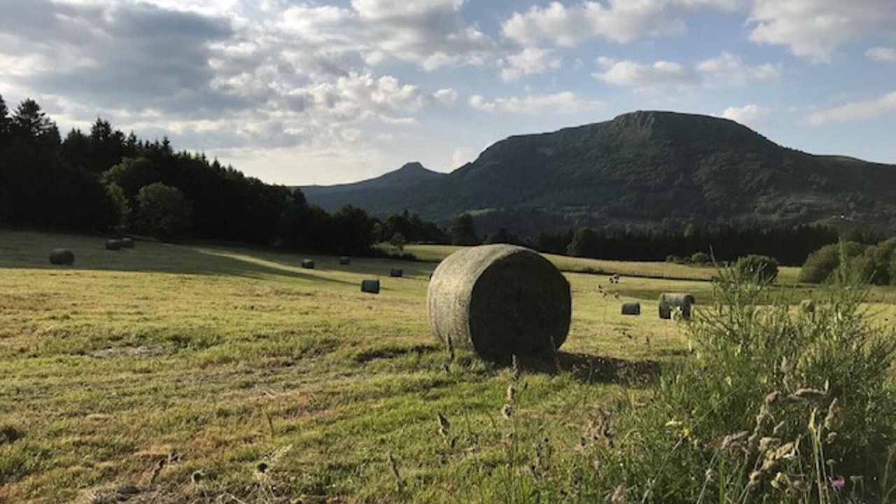 Photo of Others in Mont-Dore