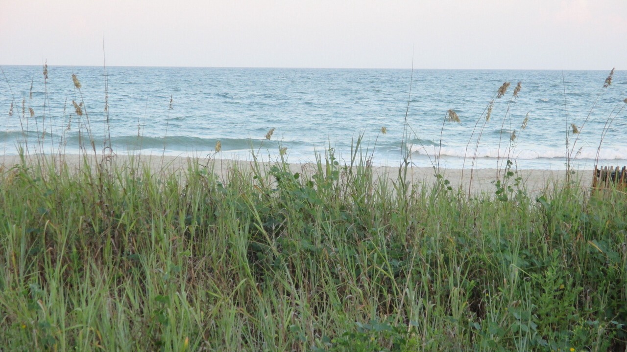 Photo of Others in Myrtle Beach