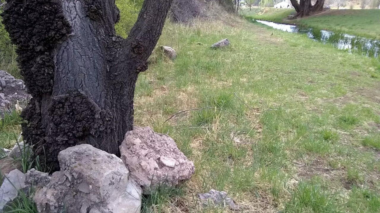 Photo of Outdoor in Mayhill
