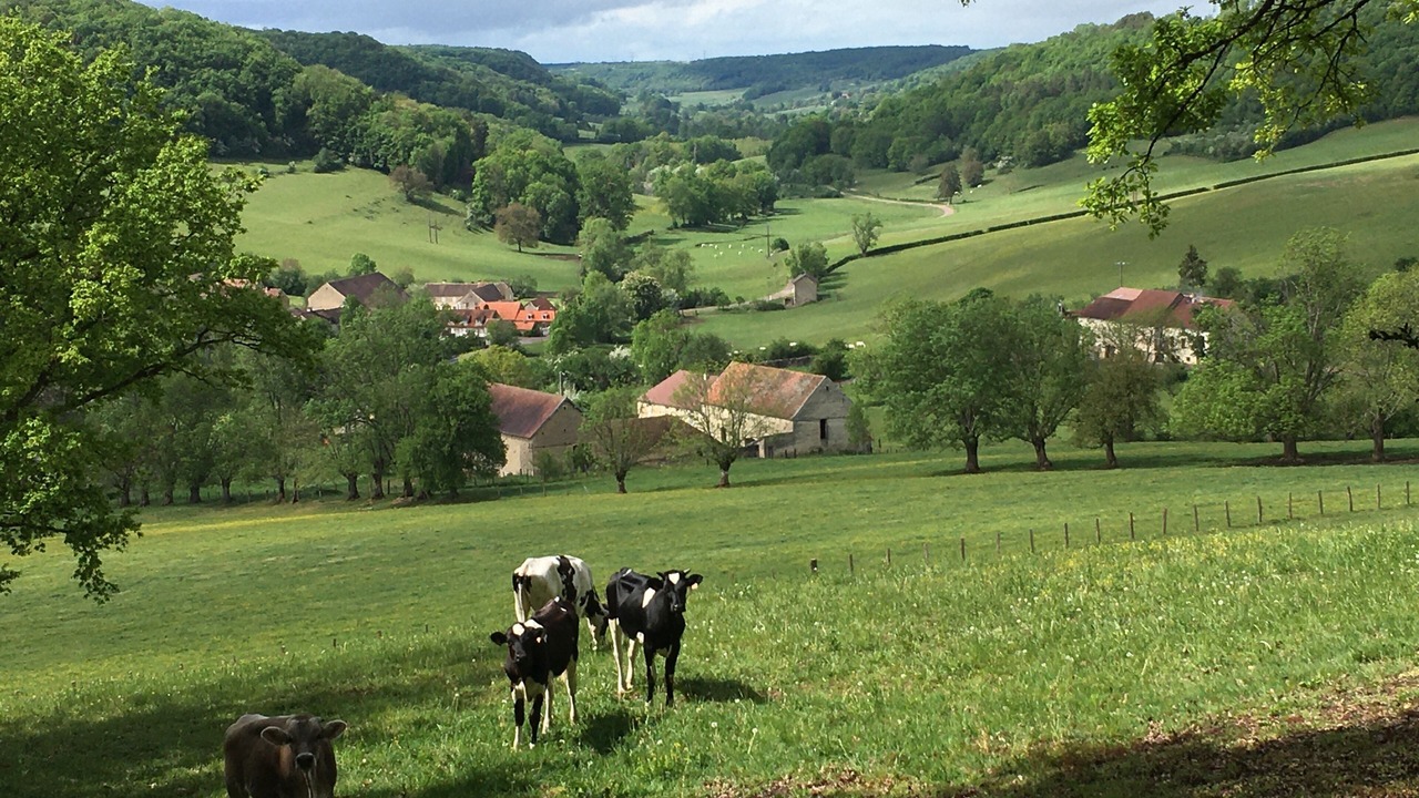 Photo of Others in Frolois