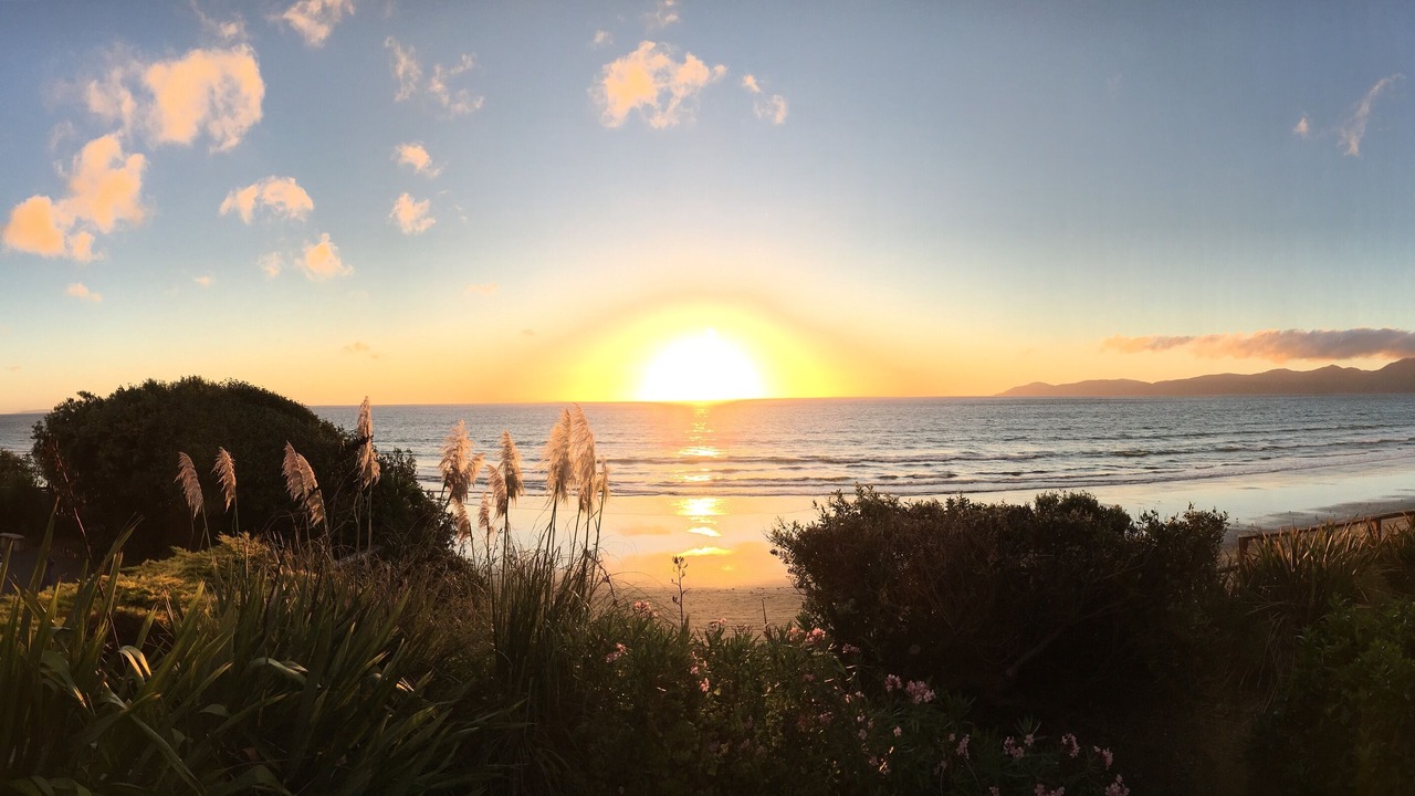 Photo of Others in Raumati South