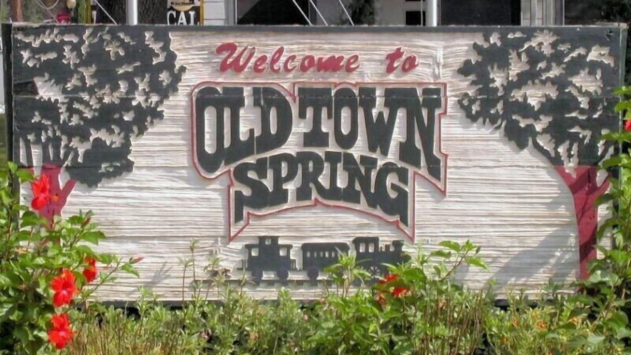 Photo of Others in Spring