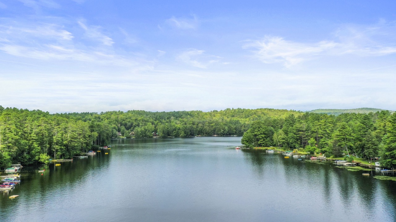 Photo of Outdoor in Chestertown
