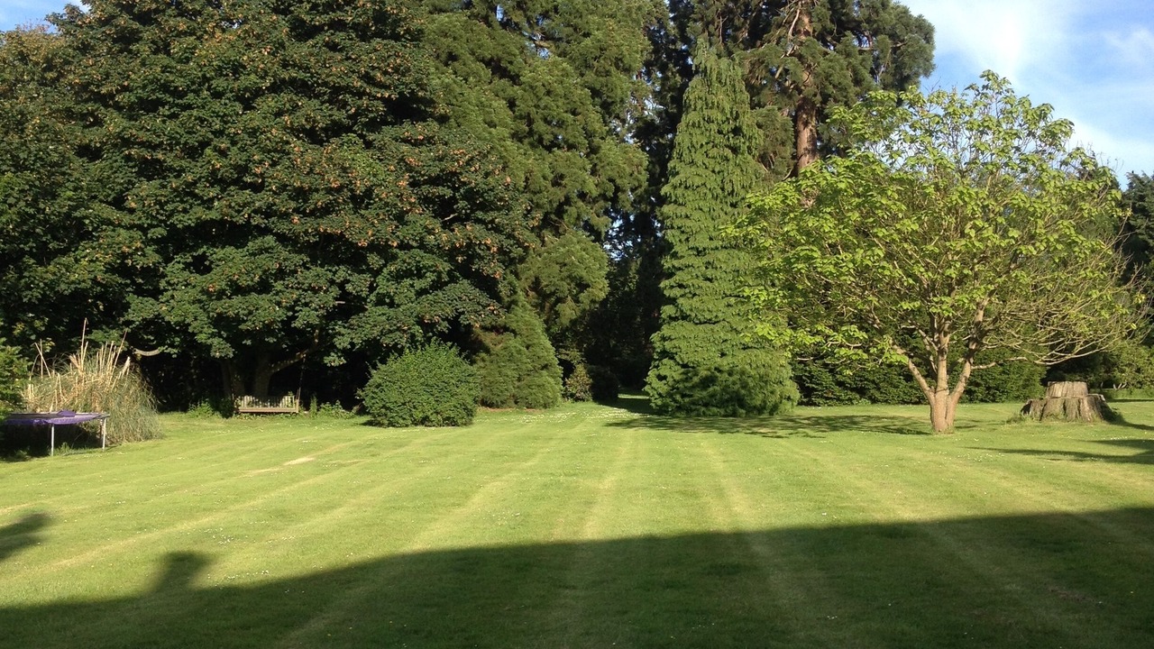 Photo of Others in Gravesend