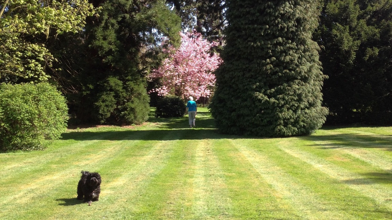 Photo of Outdoor in Gravesend