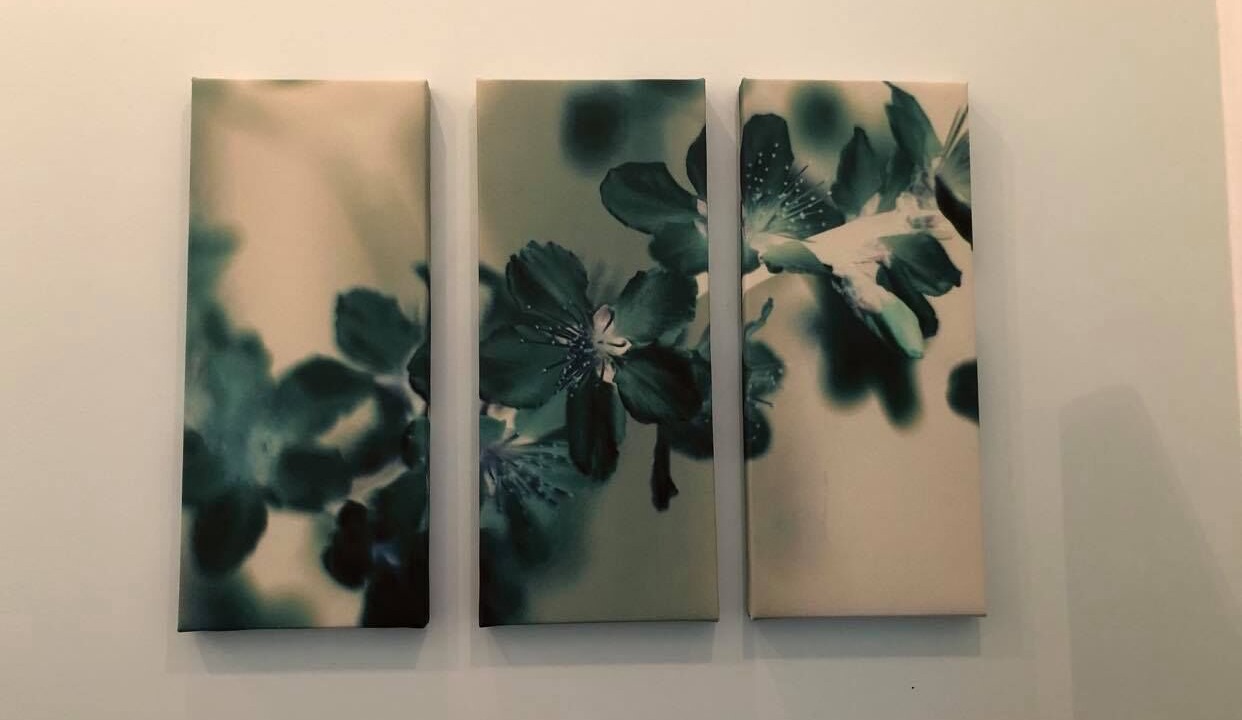 Photo of Others in Gravesend