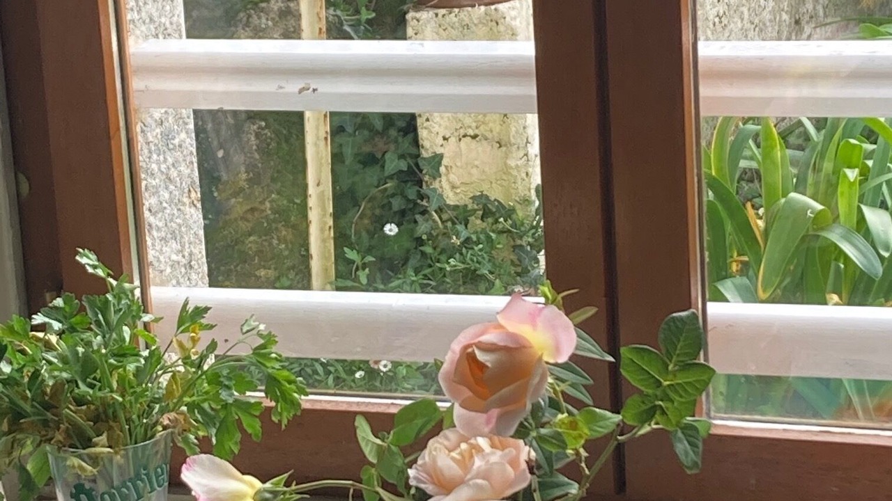 Photo of Others in Belz