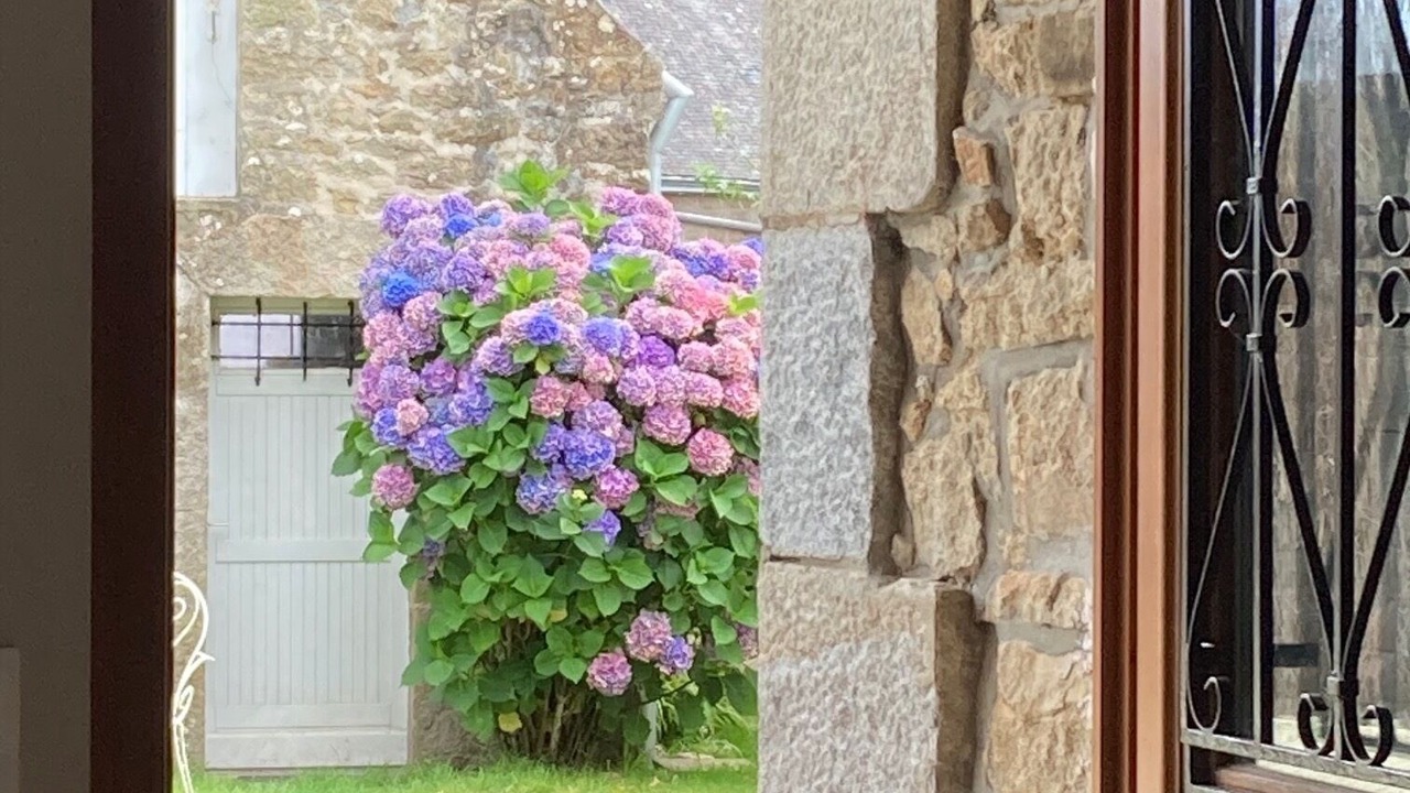 Photo of Others in Belz