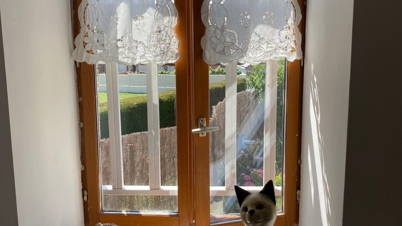 Photo of Others in Belz