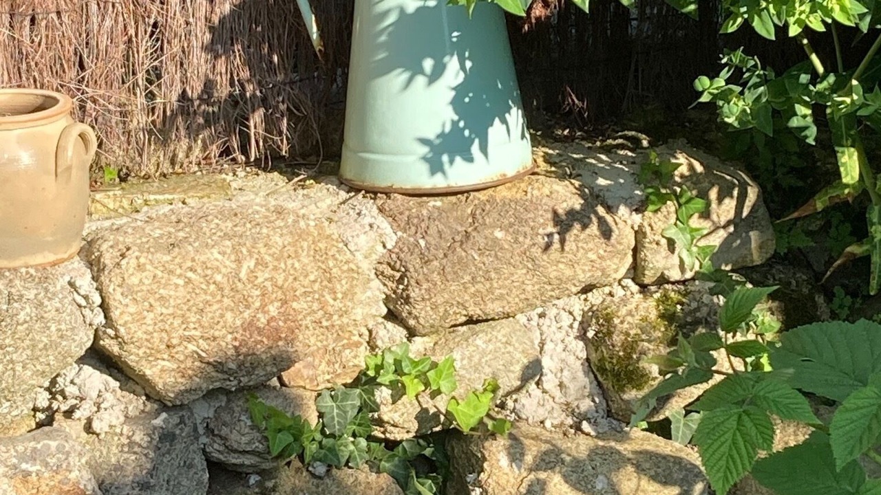 Photo of Outdoor in Belz