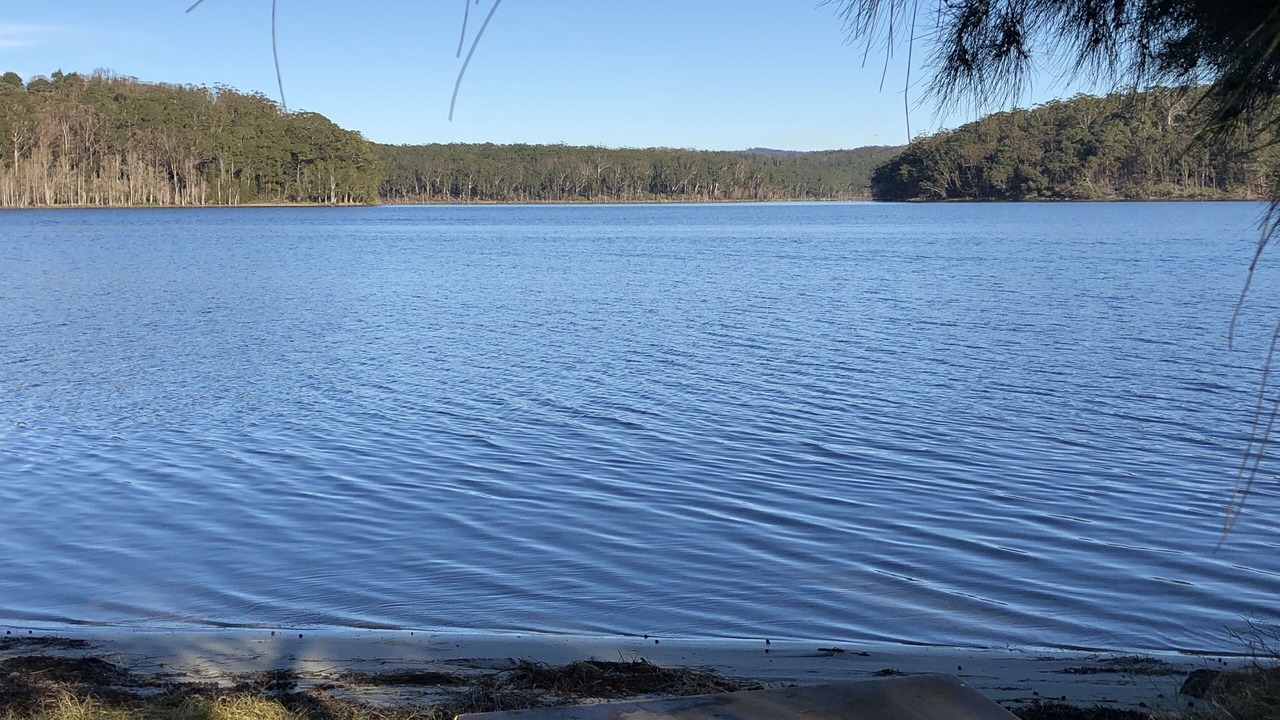 Photo of Others in Burrill Lake