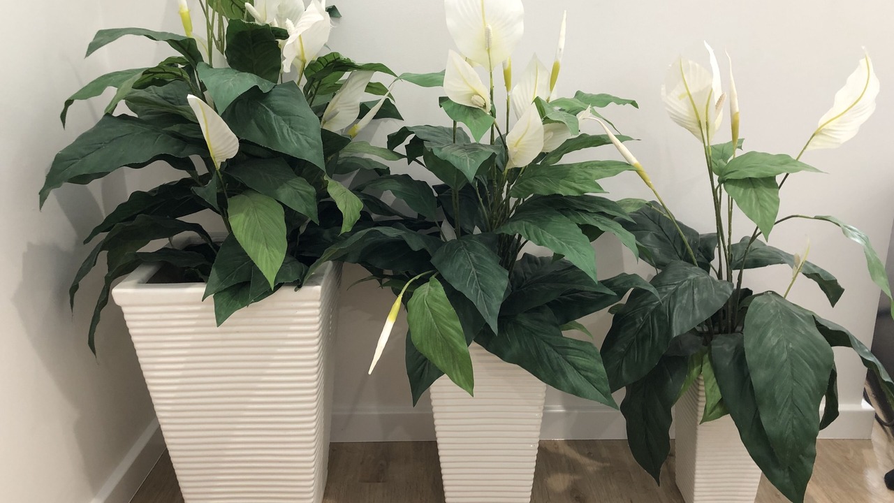 Photo of Others in Burrill Lake