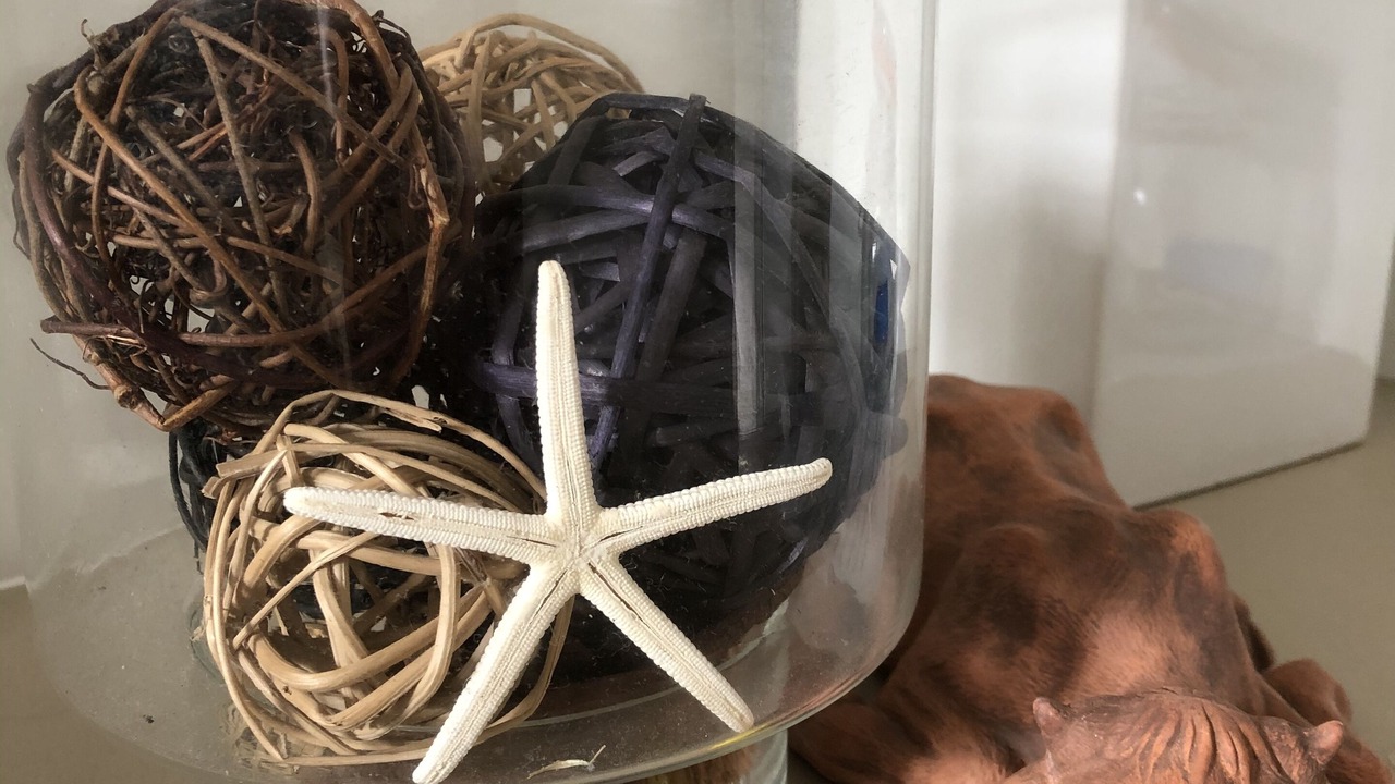 Photo of Others in Burrill Lake