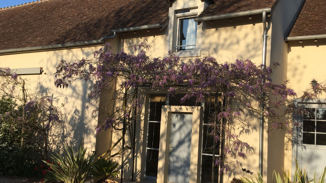 Photo of Outdoor in Civray