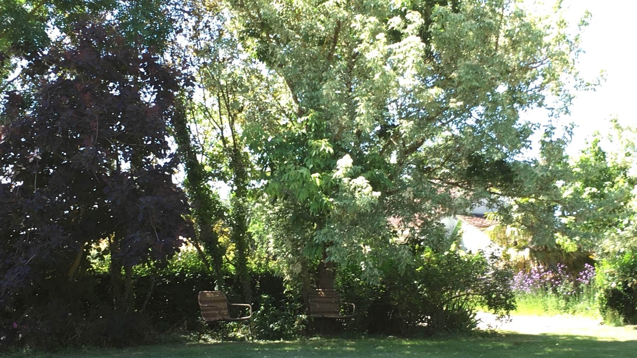 Photo of Outdoor in Civray