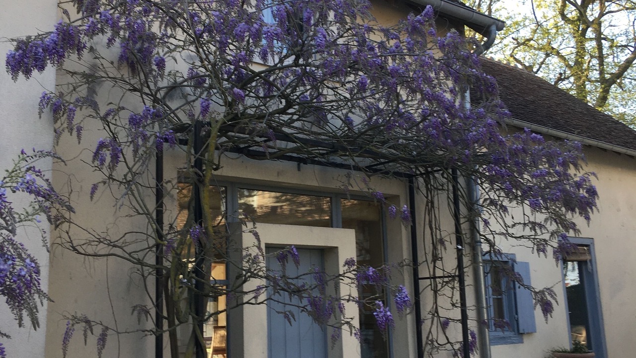 Photo of Outdoor in Civray