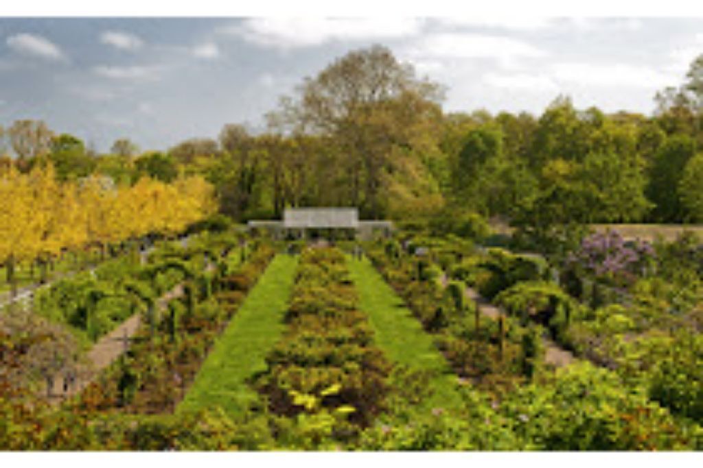 Photo of Outdoor in Bedford-Stuyvesant