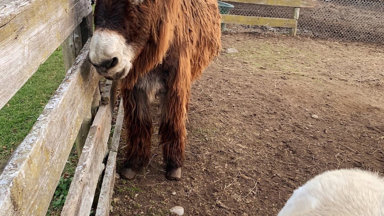 Photo of Others in Hamburg