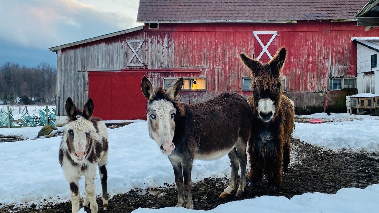 Photo of Others in Hamburg
