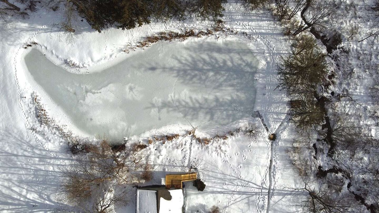 Photo of Others in Hamburg