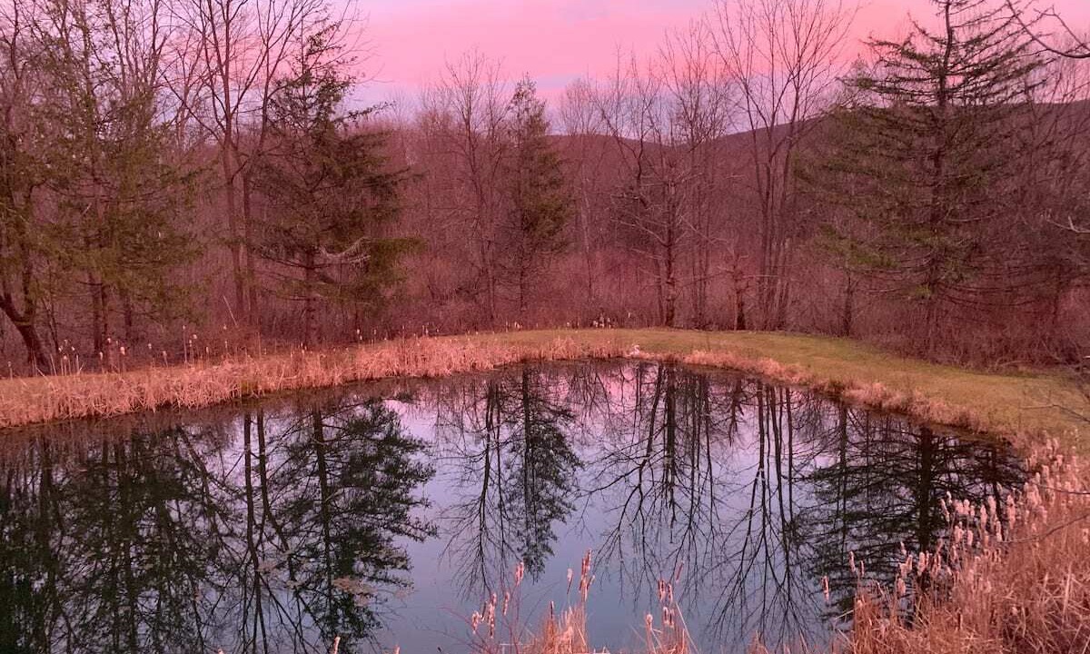 Photo of Others in Hamburg