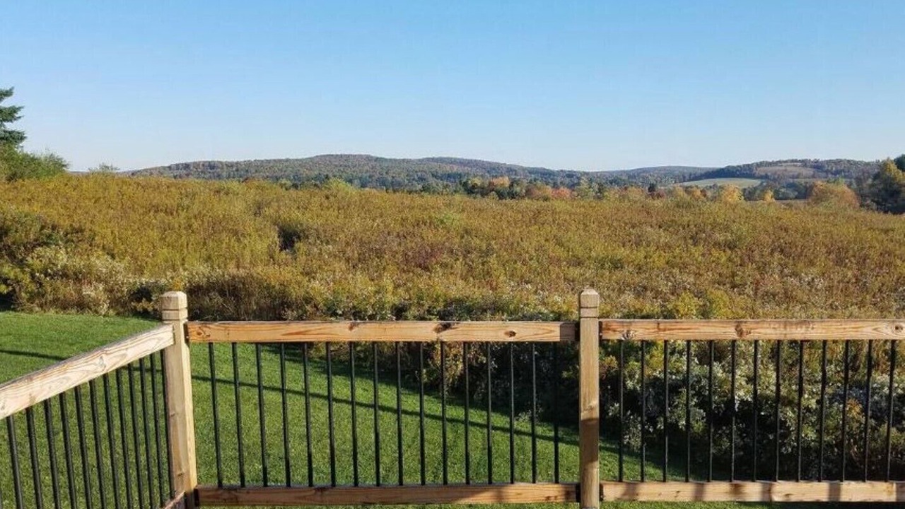 Photo of Outdoor in Caroline