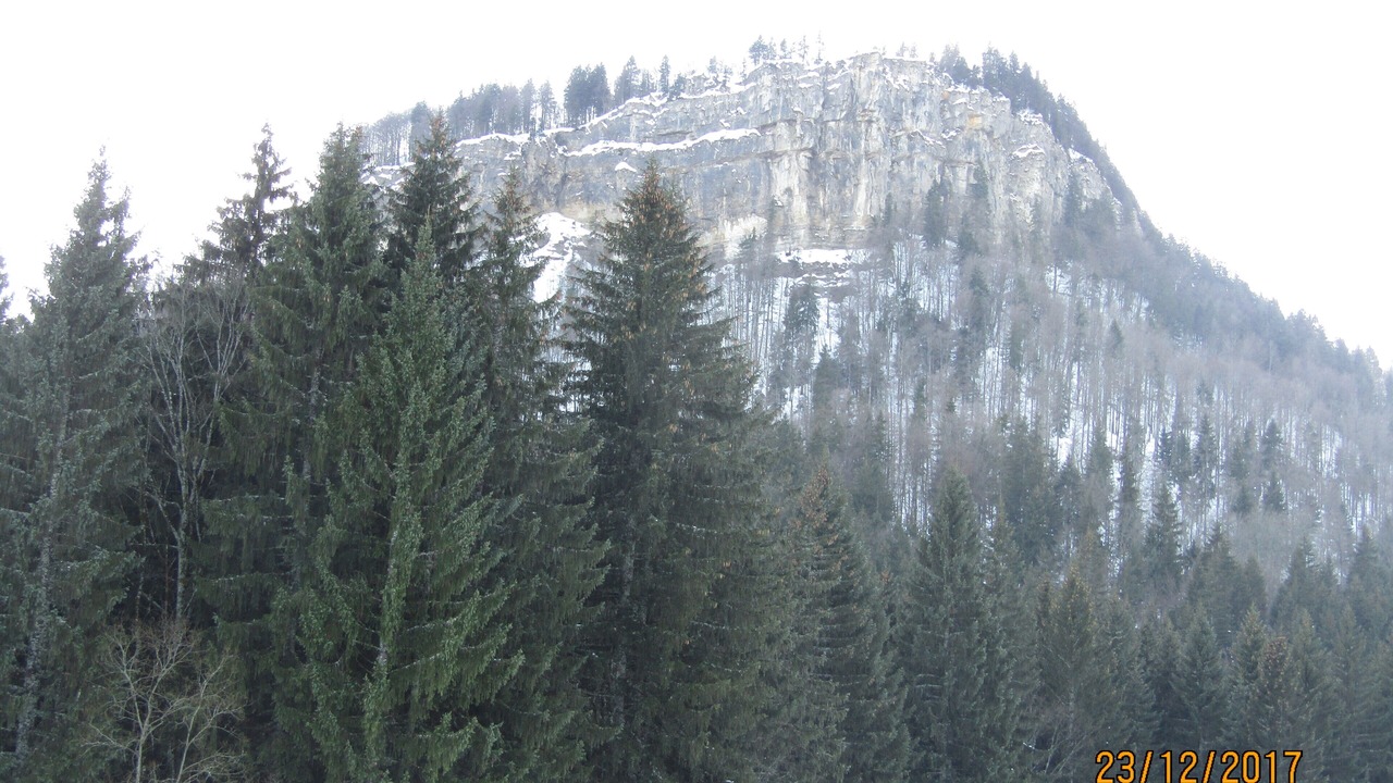 Photo of Others in Premanon