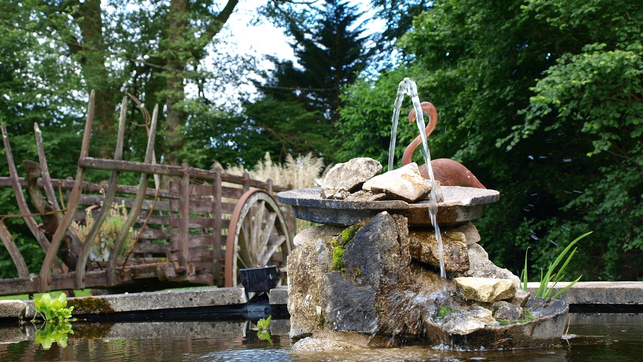 Photo of Outdoor in Saint-Dizier-Leyrenne