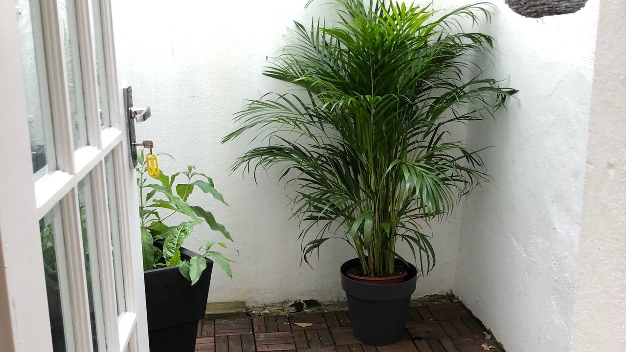 Photo of Outdoor in Seven Dials