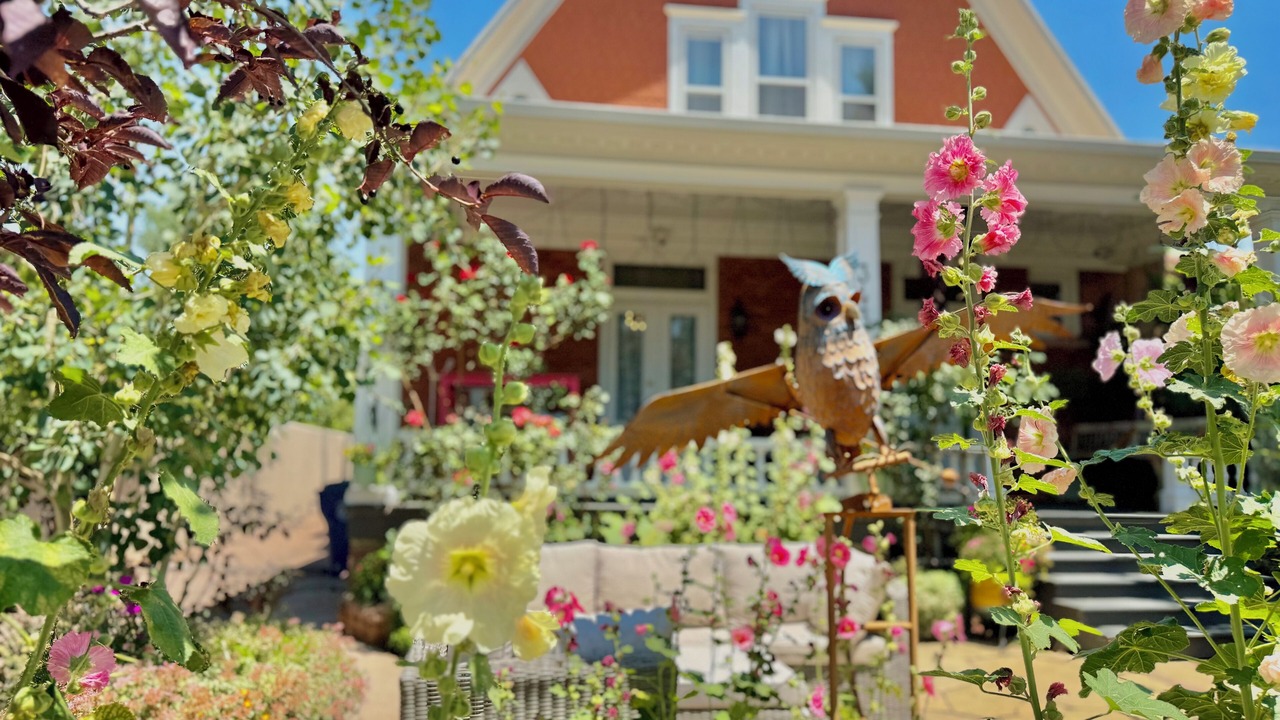 Photo of Outdoor in Historic Eastside