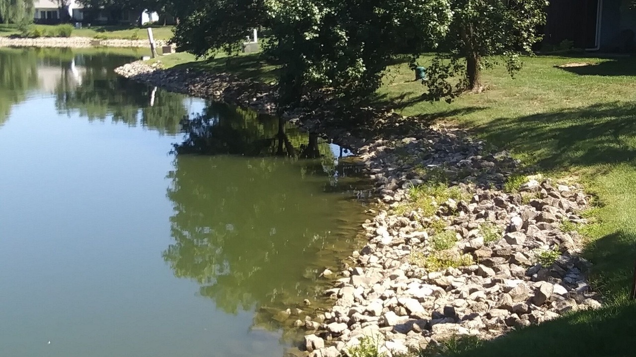 Photo of Outdoor in Muncie