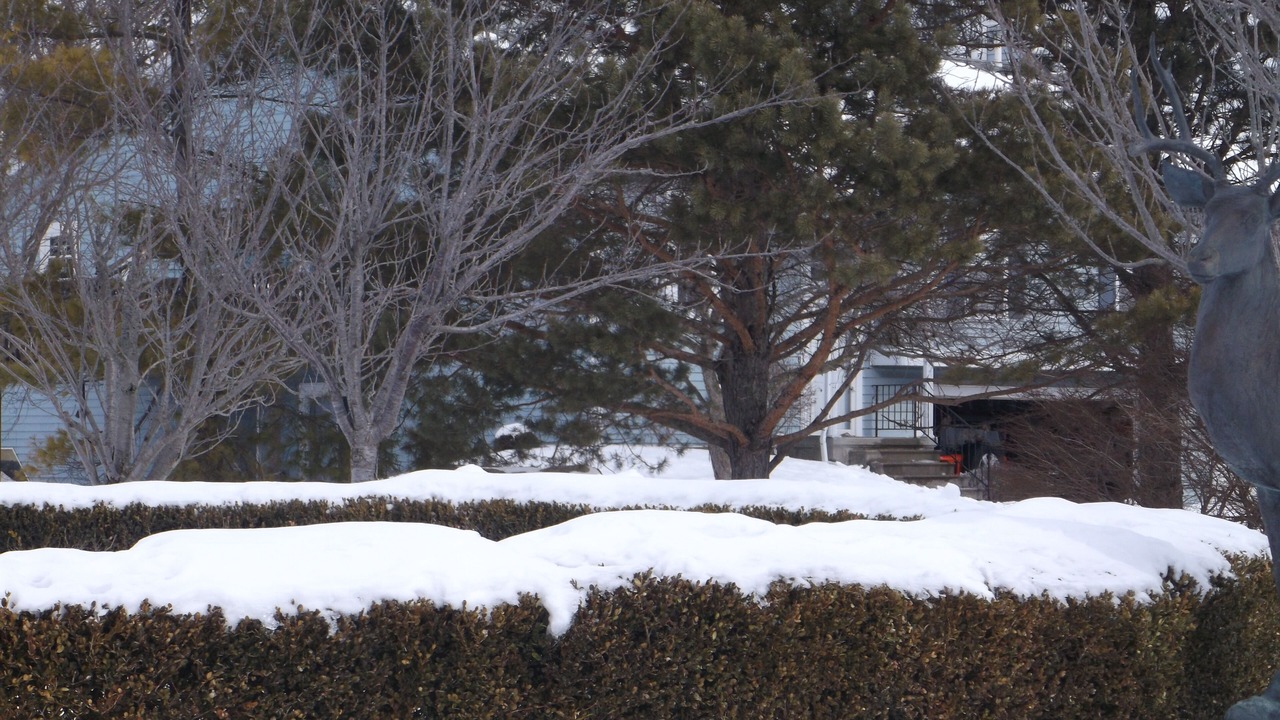 Photo of Outdoor in Muncie