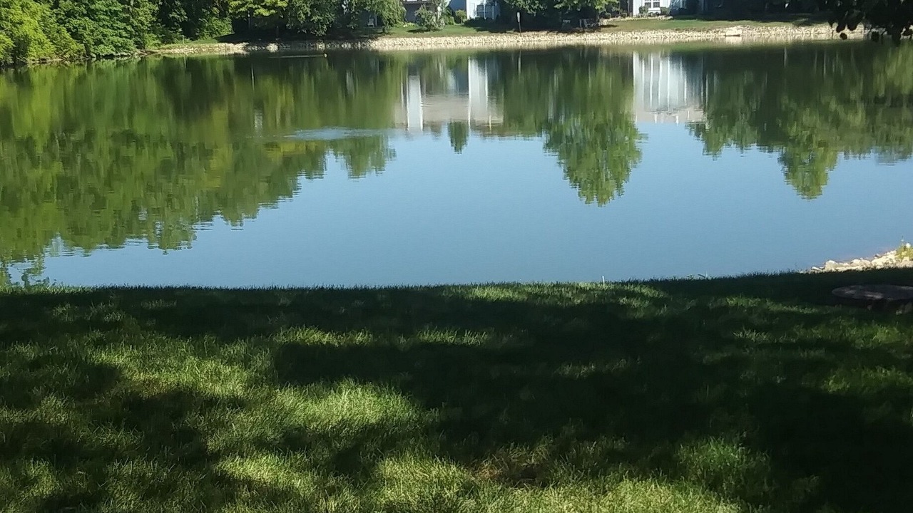 Photo of Outdoor in Muncie