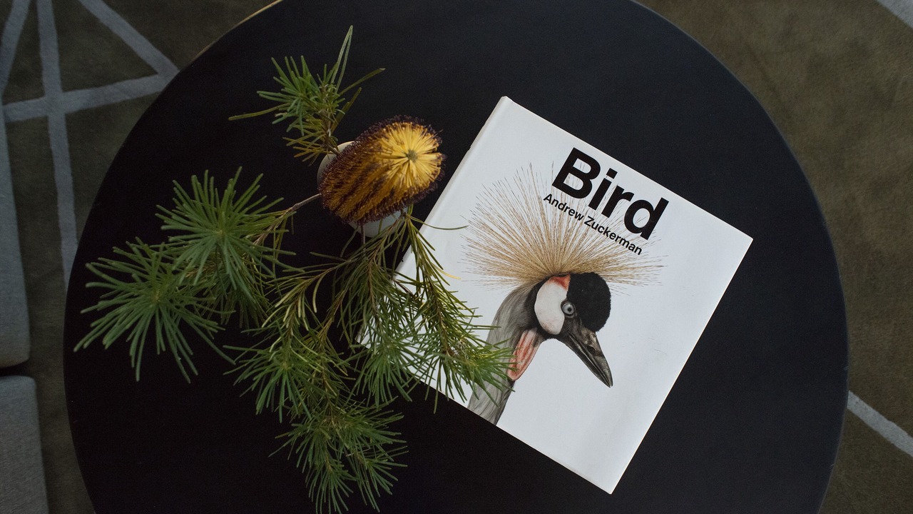 Photo of Others in Buxton