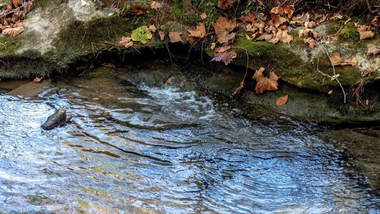 Photo of Others in Townsend